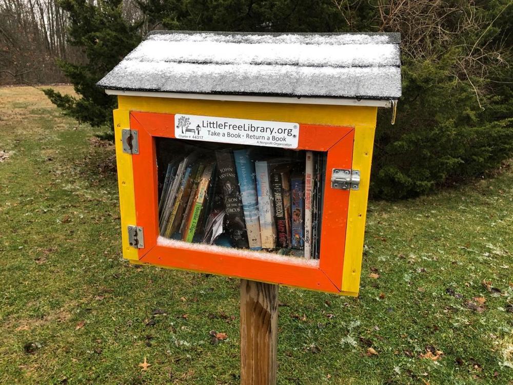 Free Little Library Project