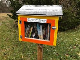Free Little Library Project