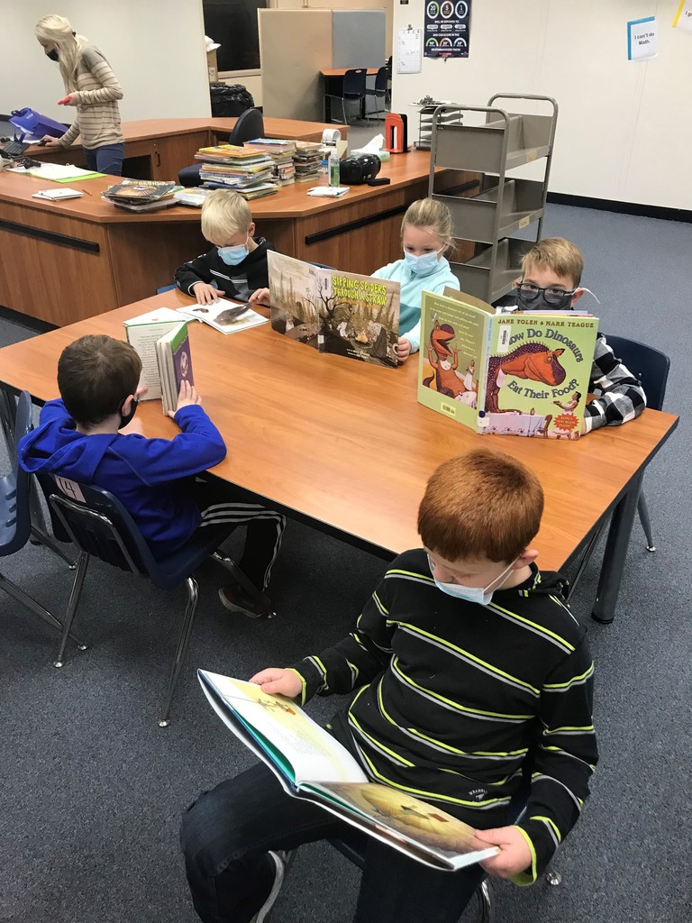2nd Grade Library