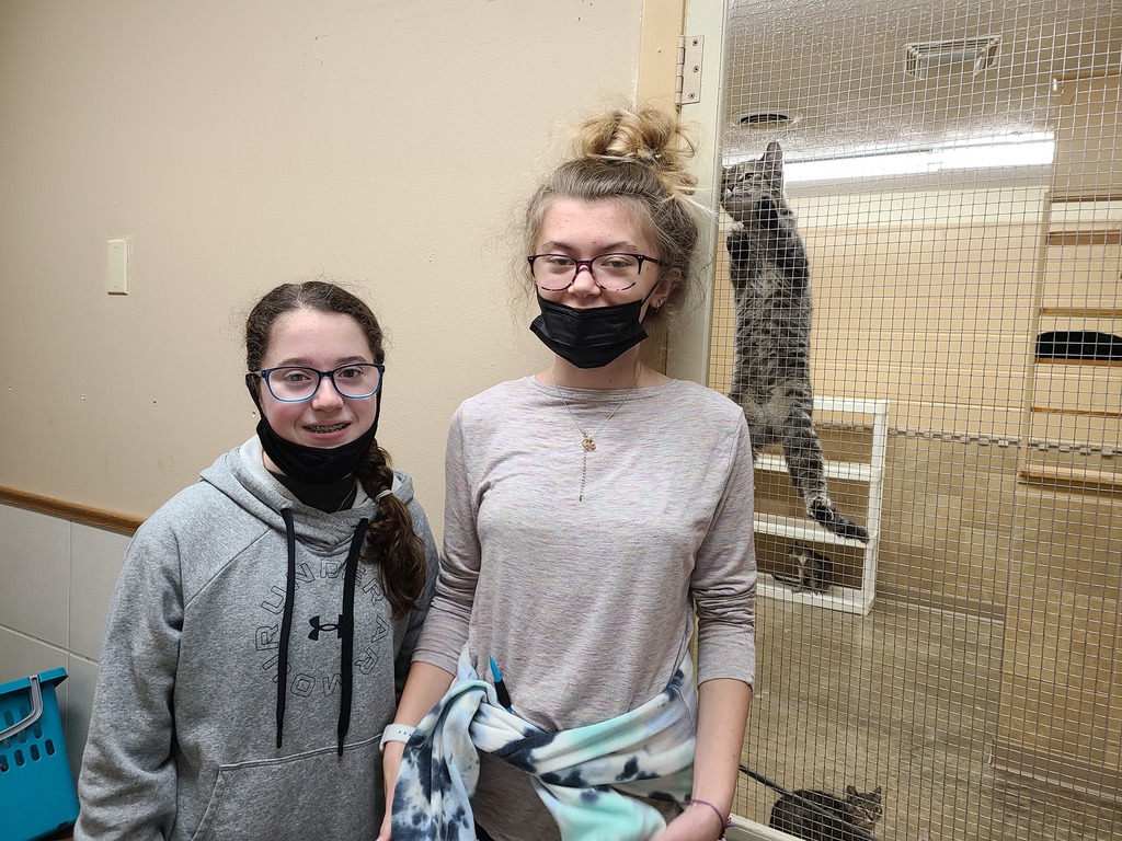 Students visit the animal shelter