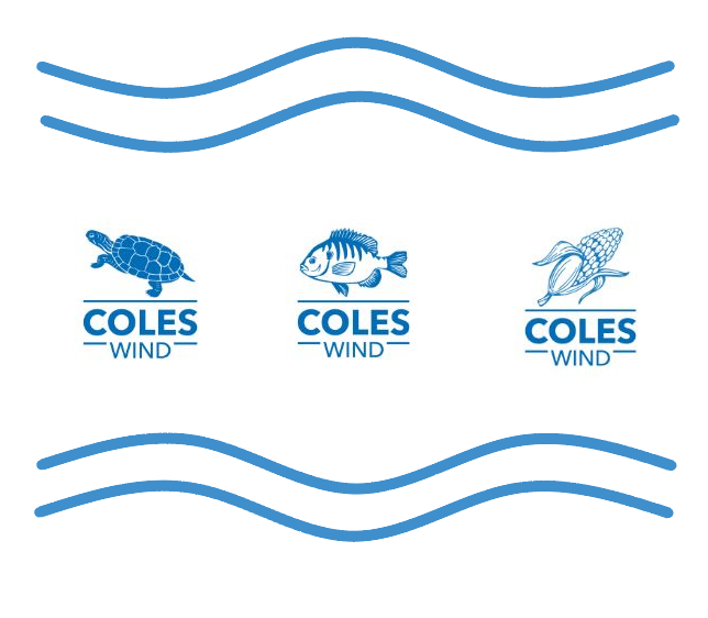 Coles Wind Logo Contest