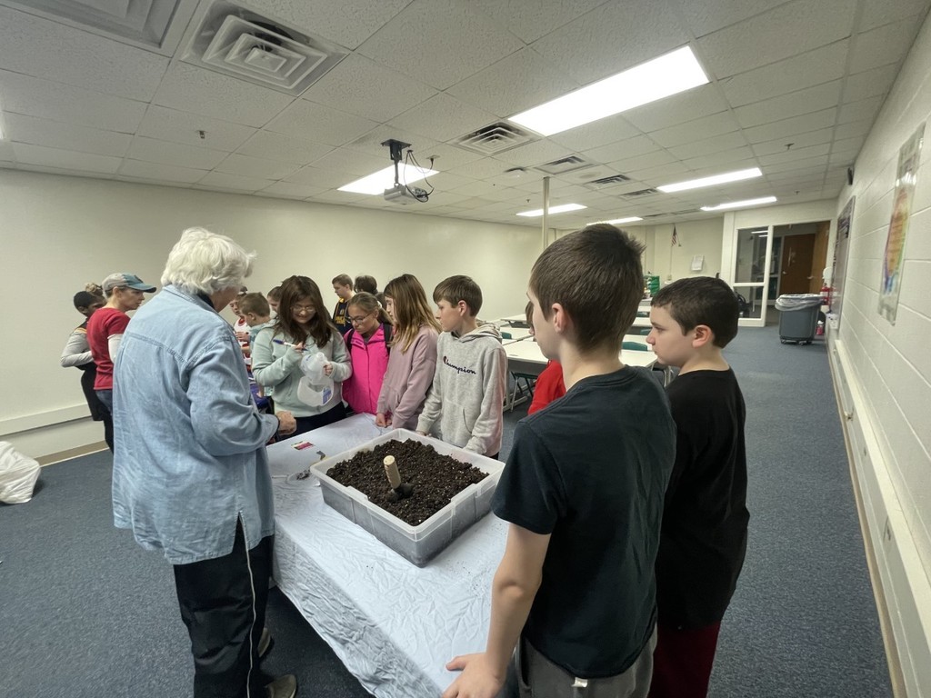 Seed sowing